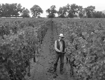 Winemaker, Andy Beckstoffer