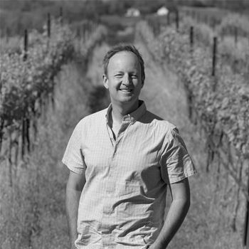 Winemaker, Steve Matthiasson